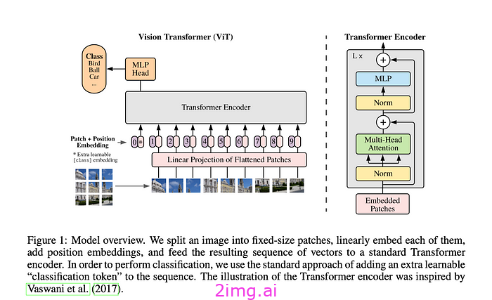 Vision Transformer视觉转换器终极指南